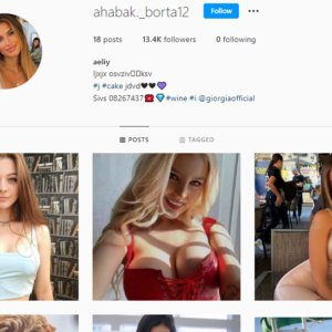 ⭐ Instagram Account For Sale ⭐ 13K ⭐ Aged 2013 ✅ Best Follower Quality ✅ USA – Europe Followers 🔵 Any Niche 🔵 OG Mail ⭐